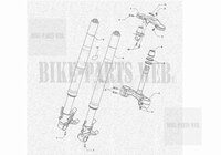 FRONT FORK for MV Agusta F3 R - F3 RR 2023